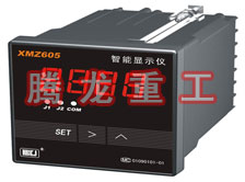 溫度表、數(shù)字顯示儀、濕度表